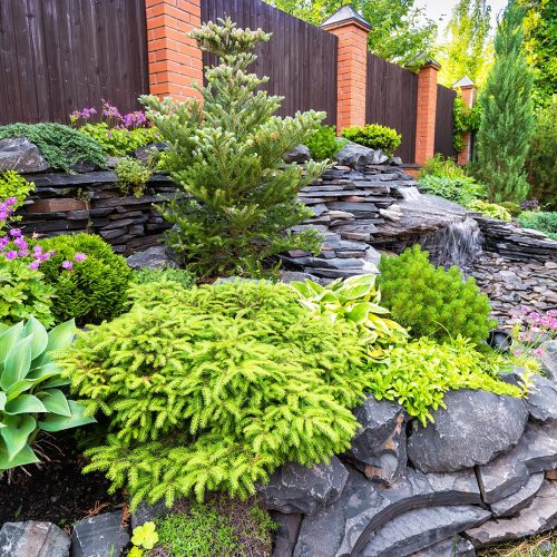 Landscape design of home garden close-up. Detail of beautiful landscaped garden with green plants, flowers and small waterfall. Natural stone landscaping in backyard in summer.